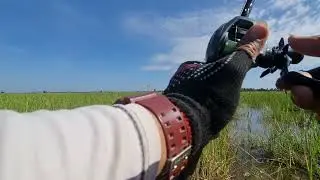 ប្លង់គេបោះបង់ចោលតែនៅលេងបានត្រី #fishing