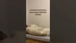 aaaaaaa vid for notifications