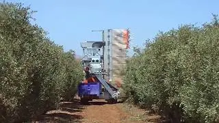 ATHENA self-propelled harvester - jojoba