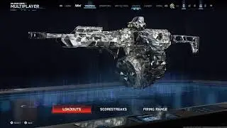 BO6/BO7 Online Gameplay/Warzone