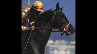 Itajara (Haras São José & Expedictus) Triple Crown Winner Undefeated (1987)