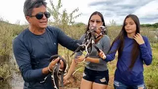salvamos centenas de serpentes