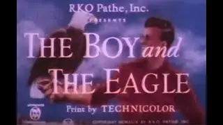 The Boy And The Eagle (1949)