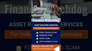 Finance Watchdog