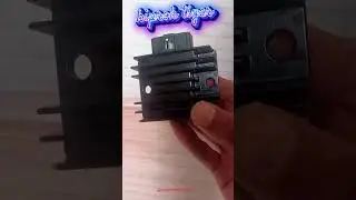 Kiprok tiger #kiproktiger