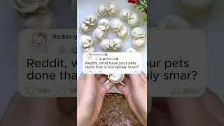 Reddit, what have your pets done that is worryingly smar?#story #storytime #reddit