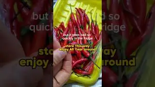 the Best way to preserve 🌶 Thai chili pepper Ever! No more waste of money! Everyone should do it!