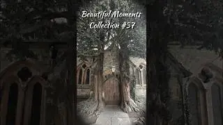 #church #beauty #history #catholic #walking #photography #short #heritage #viral #bell #photography
