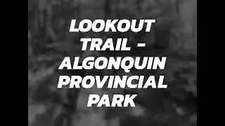Stunning view from Lookout trail in Algonquin Provincial Park #shorts #shortvideo 