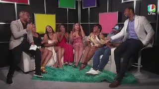 Mejores Amigos del equipo de NEVNED