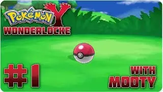 Pokemon Y: 