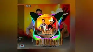 Banda Toca vaqueiro - chora safoninha