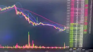 LSK/BTC  LISK COIN   ---------$20.81--------  WILL IT GO UP????