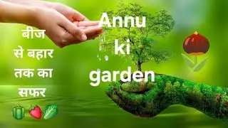 Plant Shift from Grow Bag 🌿 | Repotting Step-by-Step | Terrace Garden Care