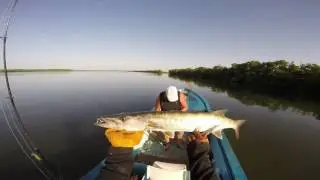 P&ecirc;che tropicale au leurre : barracuda et otolithe