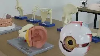 Sloka International School | Tukkuguda | Compilation video.