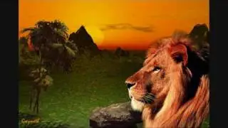the jungle song by fraxman dj