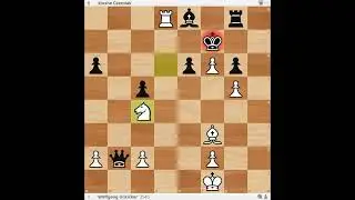 A Beautiful Combination | Unzicker vs Czerniak 1954 #chess #chessgrandmaster