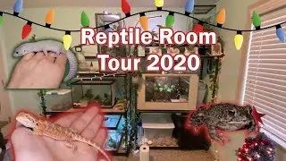 Reptile Room Tour: Christmas 2020 Edition 🎄🦎