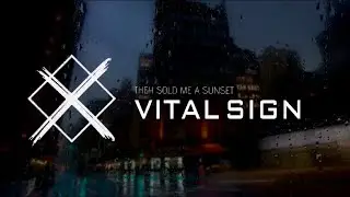 They Sold Me A Sunset - Vital Sign