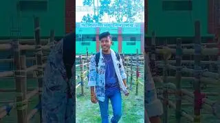 college giya hollor