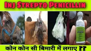 Inj DCR 2.5g Use in Hindi ।। Inj DCR  कहा कहा उपयोग कर सकते हैं ??