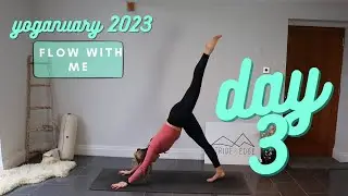 Day 3 of 31 - Yoganuary 2023 - Flow with Me - 30 Minutes