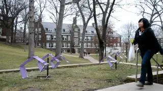 Purple Pieces (location #2)