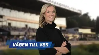 V&auml;gen till V85 J&auml;gersro 2026-01-03