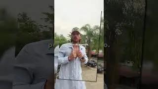 Dicen que toda la belleza que tiene Aldo de Nigris se la debe a su barba