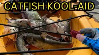 Cherry Garlic Gizzards on Limb Lines (Catching Catfish)