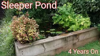 My Raised Sleeper Pond Journey: 4 Years of Beauty and Growth