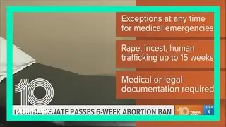 Florida Senate passes 6-week abortion ban, bill heads to House