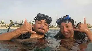 Dive Into Life: Beach Vibes & Ocean Adventures - Bermuda Diving center- Dubai