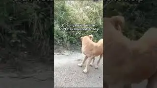 Urgent support needed 🚨Blind, sick, and painfully thin, she lay on the street night after night,