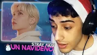 Reaction and analysis of &ldquo;Winter Falls&rdquo; &ndash; STRAY KIDS