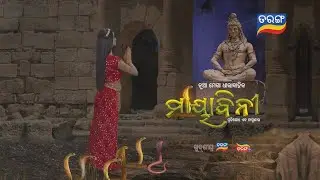 Mayabini ମାୟାବିନୀ | New Megaserial | Coming Soon | Tarang TV | Tarang Plus