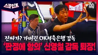 [스포인트] 진짜가? 판정에 항의하다 퇴장당한 신영철 감독/ YTN쏙