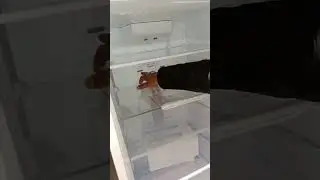 Crystal 320b FF