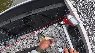 Bass fishing badin lake!