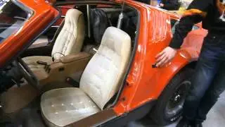 Bricklin sv1 door