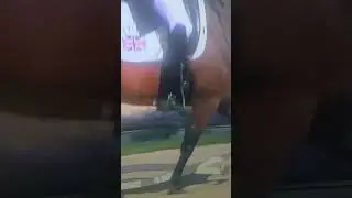 Lewis Carrier Leg Aids #dressage