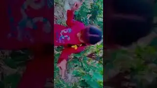 Greenery vlog||by Akshiti talent hub||