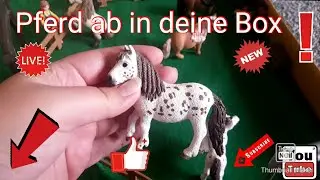 Pferd ab in deine Box❗🐴➡️|500 Abonnenten| 8. Wunsch Video🌺