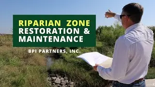 Riparian Zone Restoration & Maintenance in Austin, TX with BPI Partners