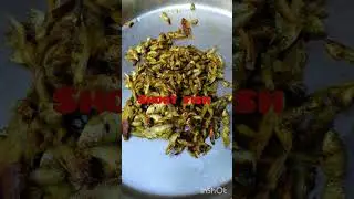 Dehati style fish curry 🙏 village making  short fish #  बिहारी स्टाइल मछली करी #  Subscribe