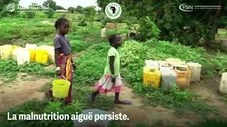 Rapport R&eacute;gional sur la S&eacute;curit&eacute; Alimentaire et Nutritionnelle au Sahel et Afrique de l&rsquo;Ouest 2024