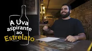 Malvasia Nera: a uva aspirante ao estrelato!