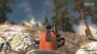 Musket firing line on a moose