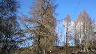 The Five Lochs Run.wmv